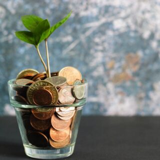 coins-plant-money