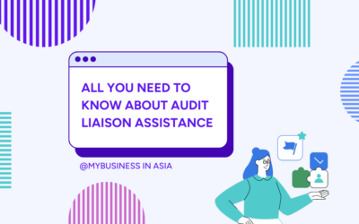 All you need to know about Audit Liaison Assistance