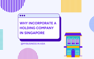 Why Incorporate a Holding Company in Singapore
