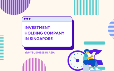Investment Holding Company In Singapore